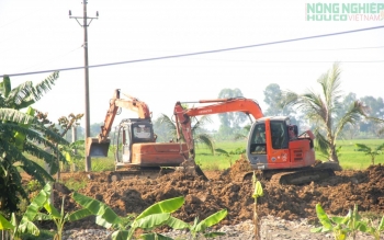 Nghệ An chỉ đạo kiểm tra, làm rõ việc san lấp đất nông nghiệp trái phép tại xã Quảng Châu