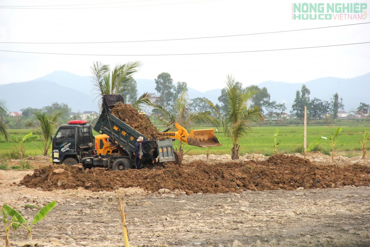Nghệ An chỉ đạo kiểm tra, xác minh việc san lấp đất nông nghiệp tại xã Quảng Châu
