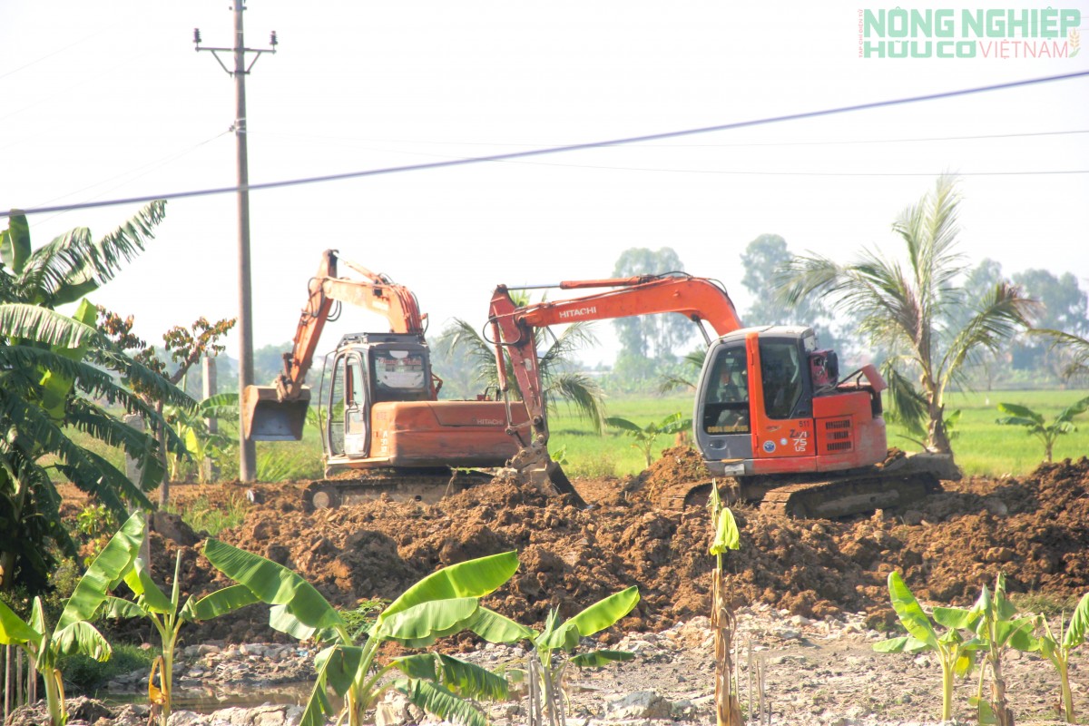 Ngang nhiên san lấp đất nông nghiệp trái phép ở xã Quảng Châu, Nghệ An