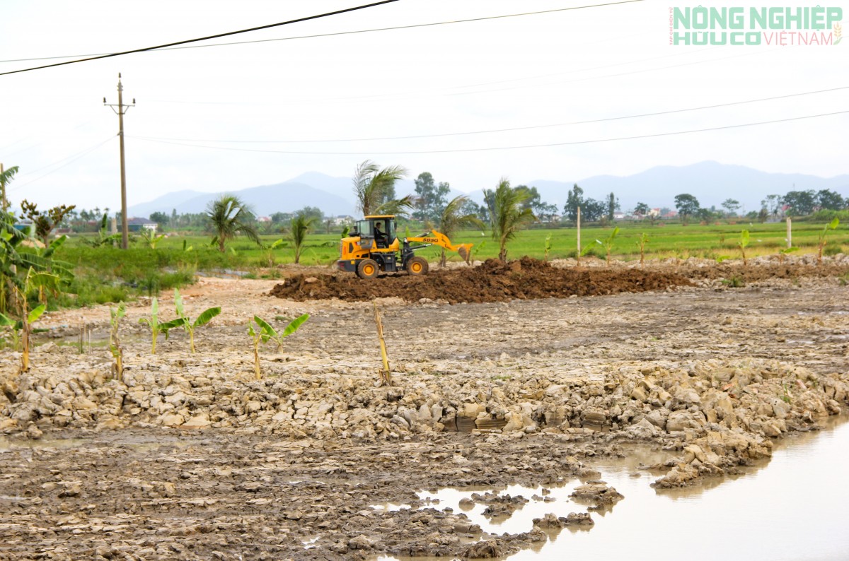 Ngang nhiên san lấp đất nông nghiệp trái phép ở xã Quảng Châu, Nghệ An