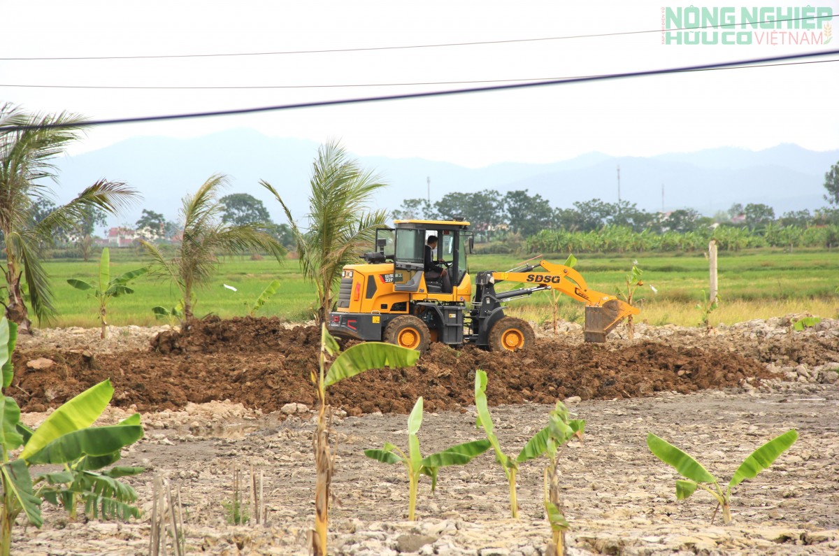 Ngang nhiên san lấp đất nông nghiệp trái phép ở xã Quảng Châu, Nghệ An