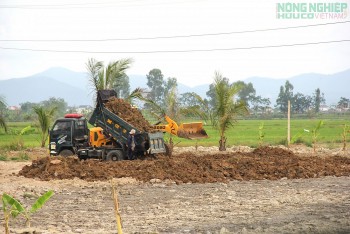 Cần xử lý triệt để việc san lấp đất nông nghiệp trái phép ở xã Quảng Châu, Nghệ An