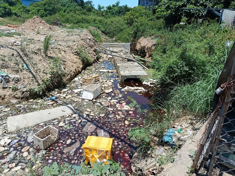 ô nhiễm môi trường