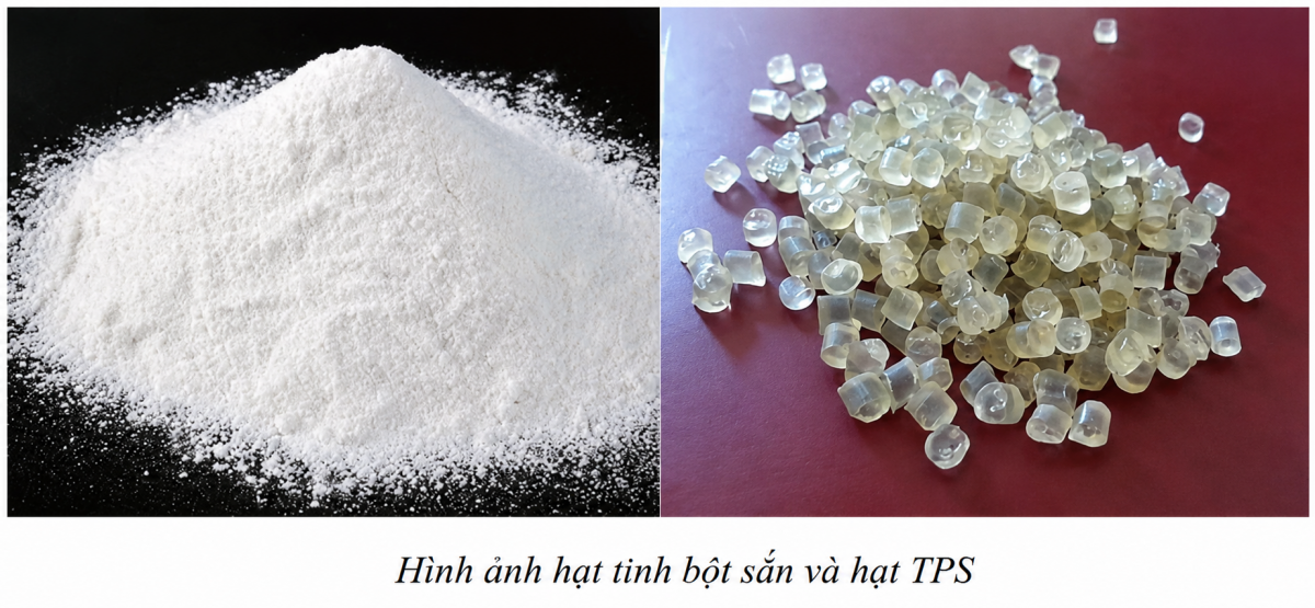 Nghiên cứu công nghệ chế tạo màng nhựa phân hủy sinh học hoàn toàn trên cơ sở hỗn hợp tinh bột sắn Việt Nam - Cổng thông tin điện tử Cục Thông tin, Thống kê