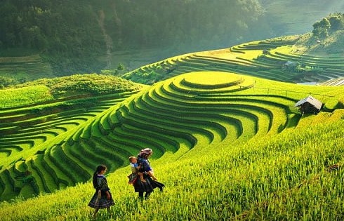 Xanh hoá các vùng du lịch trọng điểm, nâng tầm thương hiệu du lịch Việt