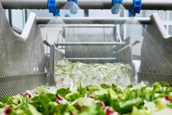 Công nghệ chế biến rau lá và salad hiện đại tối ưu năng suất sản xuất