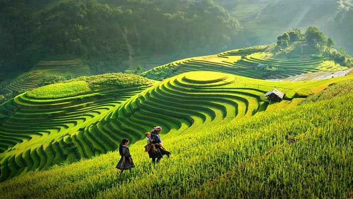 Xanh hoá các vùng du lịch trọng điểm, nâng tầm thương hiệu du lịch Việt