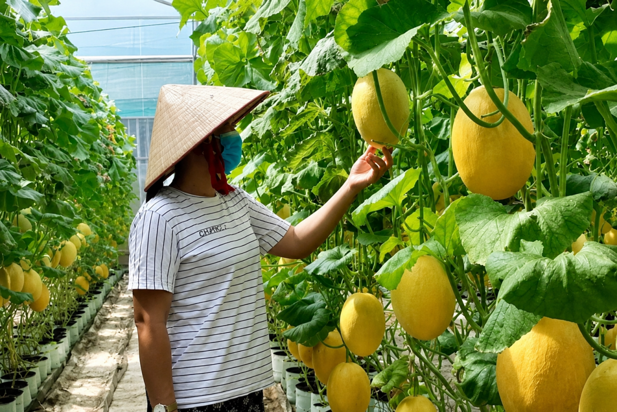 Bộ Nông nghiệp và Môi trường công bố kế hoạch đổi mới sáng tạo thời kỳ 2026-2030
