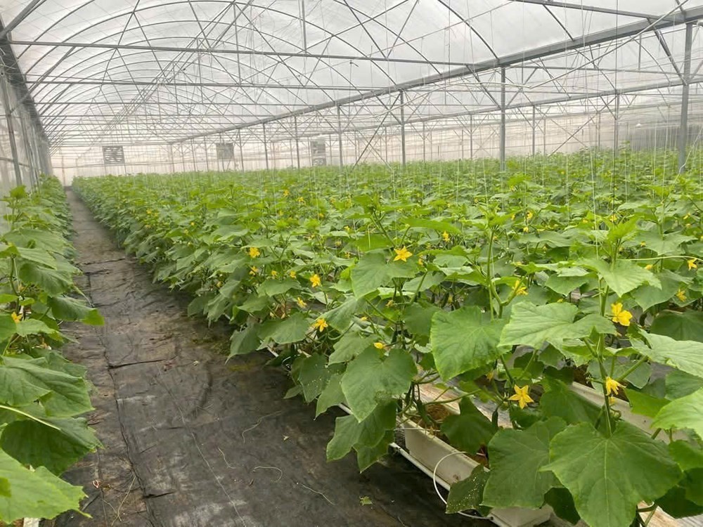 Bắc Ninh: Hơn 11.000 hội viên nông dân được tập huấn công nghệ số
