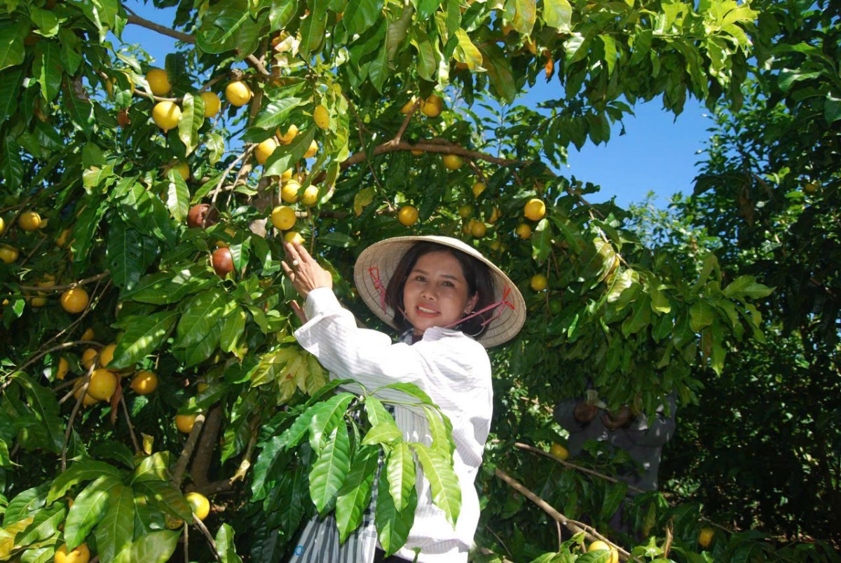 Hoàn thiện cơ chế, chính sách khuyến khích doanh nghiệp đầu tư vào nông nghiệp, nông thôn