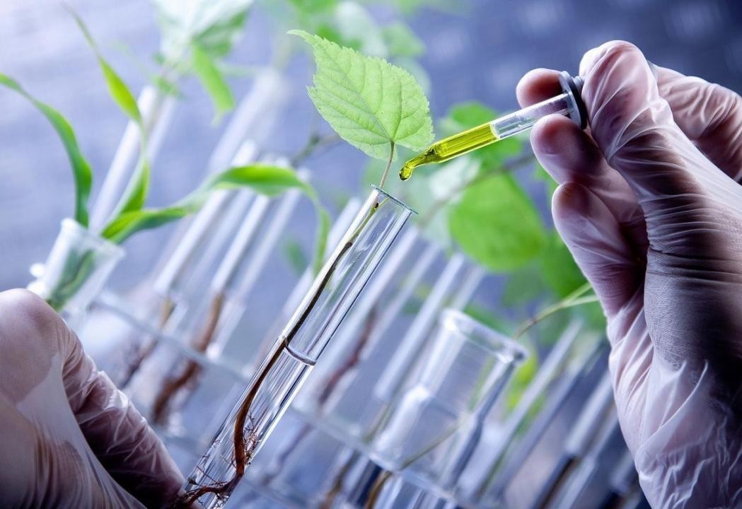 Tuyên Quang đẩy mạnh ứng dụng công nghệ sinh học, hướng tới trung tâm đổi mới sáng tạo khu vực