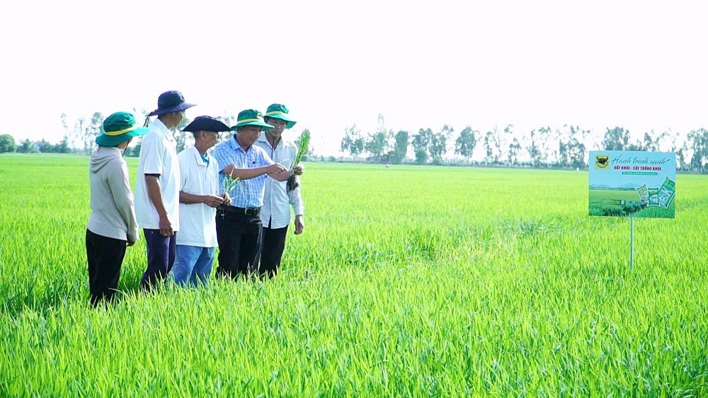 Phân bón Bình Điền đồng hành cùng chuyện người nông dân ‘đánh thức’ vùng đất phèn