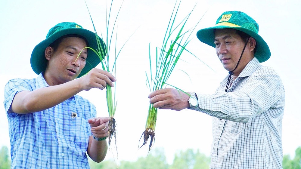 Phân bón Bình Điền đồng hành cùng chuyện người nông dân ‘đánh thức’ vùng đất phèn