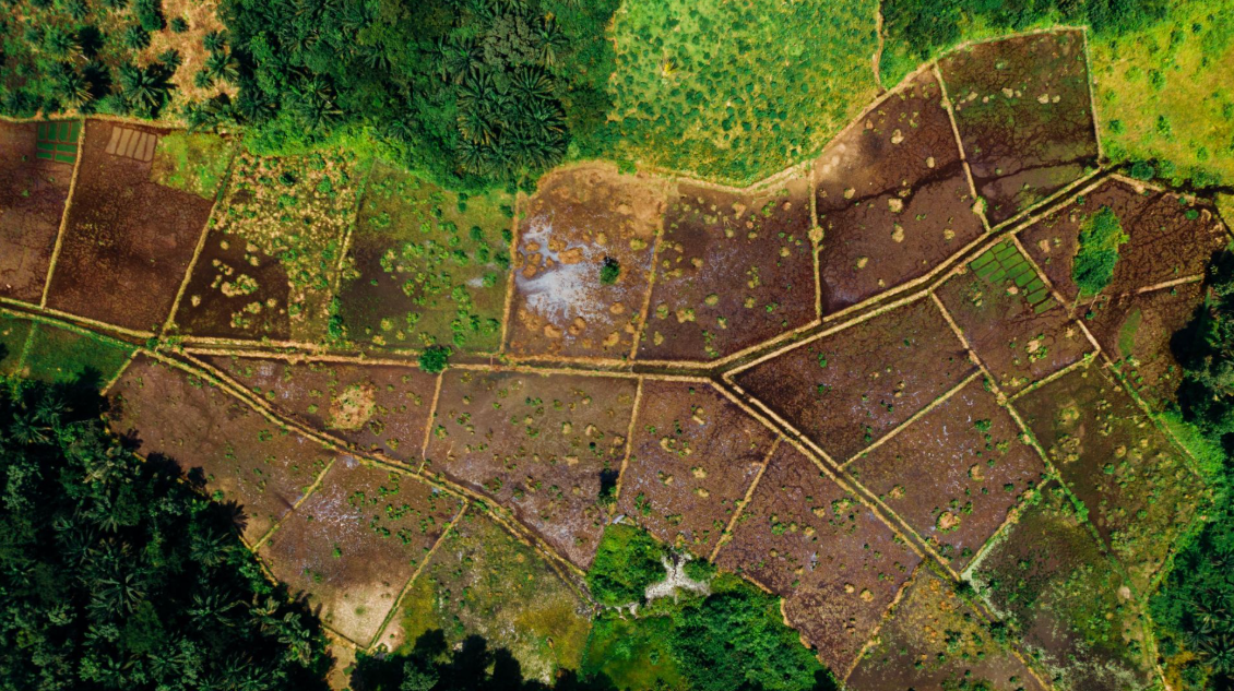 “Land sparing” hay “land sharing” sẽ mở ra hướng đi bền vững cho nông nghiệp?