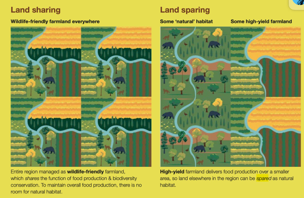 “Land sparing” hay “land sharing” sẽ mở ra hướng đi bền vững cho nông nghiệp?