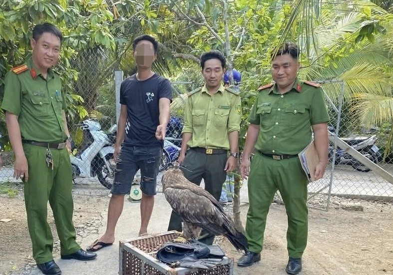 Vĩnh Long: Xử phạt người nuôi nhốt trái phép 6 cá thể chim hoang dã