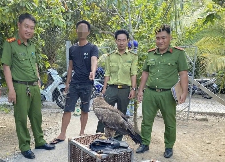 Vĩnh Long: Xử phạt người nuôi nhốt trái phép 6 cá thể chim hoang dã