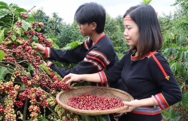 Đắk Lắk khát vọng trở thành khu vực phát triển hệ sinh thái kinh tế nông nghiệp đa giá trị
