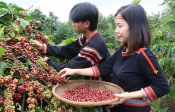Đắk Lắk khát vọng trở thành khu vực phát triển hệ sinh thái kinh tế nông nghiệp đa giá trị
