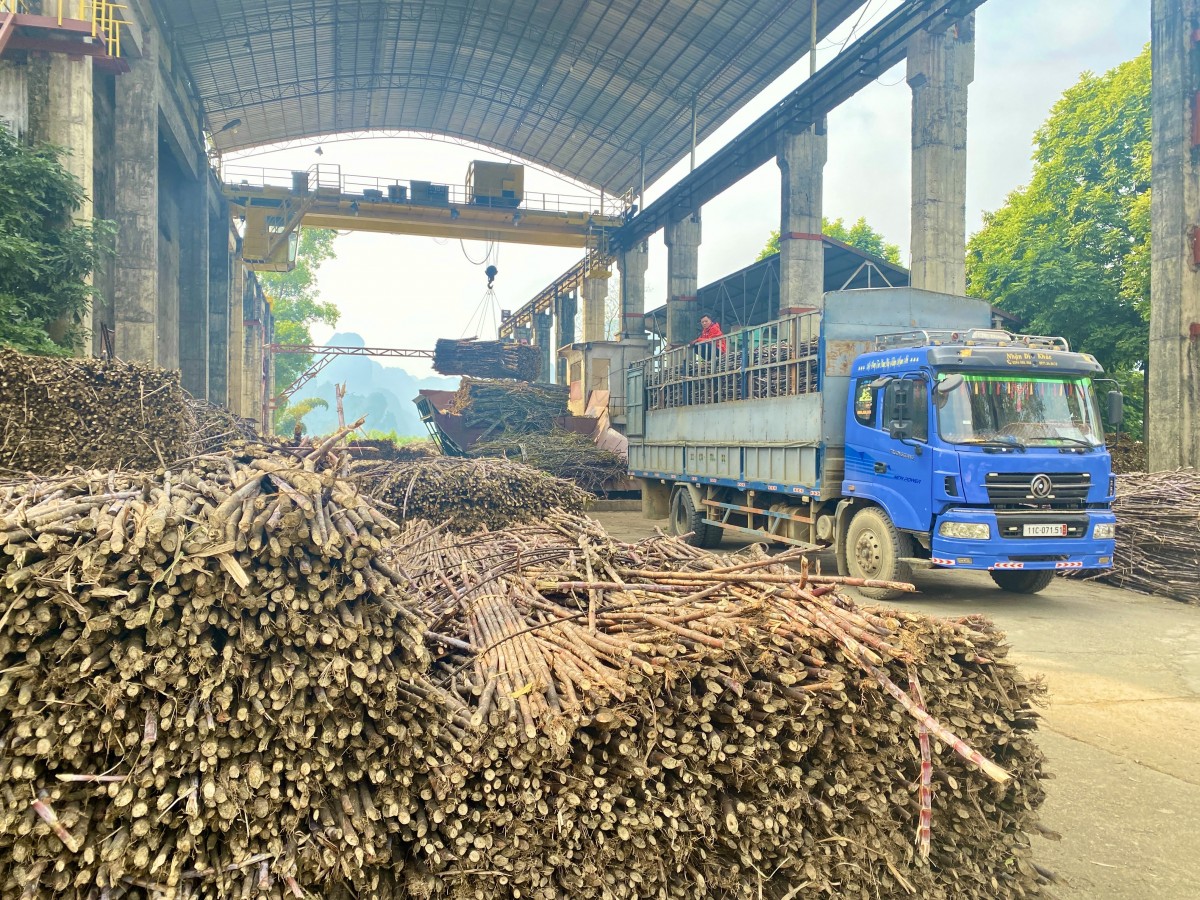 Xã Phục Hoà - Vùng đất biên cương giàu tiềm năng, khát vọng vươn lên