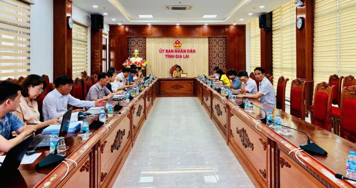 Gia Lai: Khẩn trương chuẩn bị Tuần lễ Festival quốc tế cồng chiêng và Liên hoan Võ cổ truyền IX