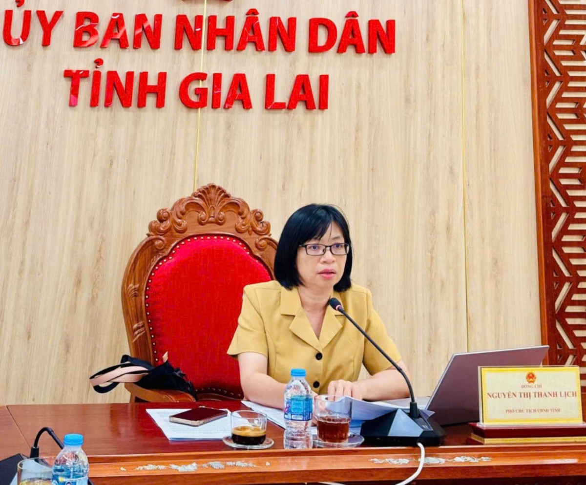 Gia Lai: Khẩn trương chuẩn bị Tuần lễ Festival quốc tế cồng chiêng và Liên hoan Võ cổ truyền IX