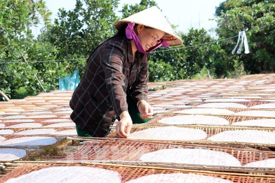 Bánh tráng Mỹ Lồng, bánh phồng Sơn Đốc: Hồn xứ dừa Bến Tre trong từng sản phẩm