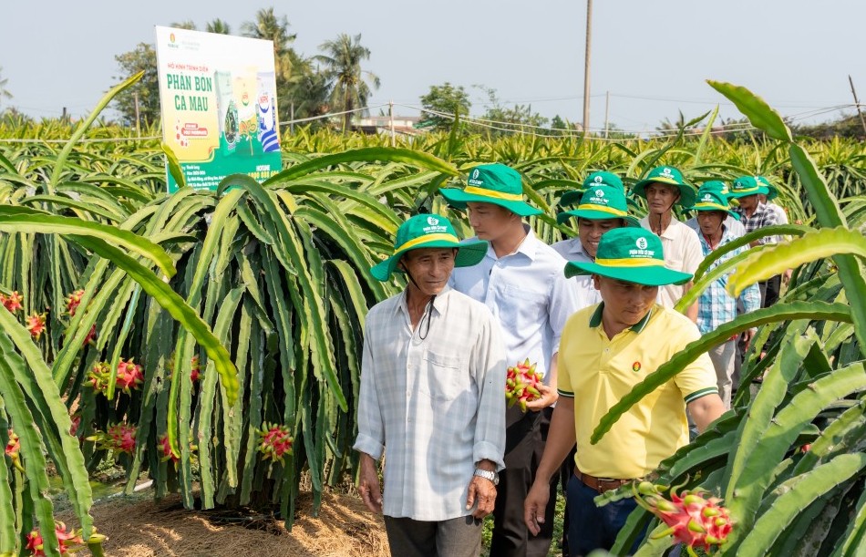 Phân Bón Cà Mau: Điểm tựa cho một mùa vụ vững tin hơn