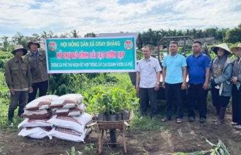Dray Bhăng ra mắt mô hình“cải tạo vườn tạp” kỹ thuật trồng cà phê thả ngọn