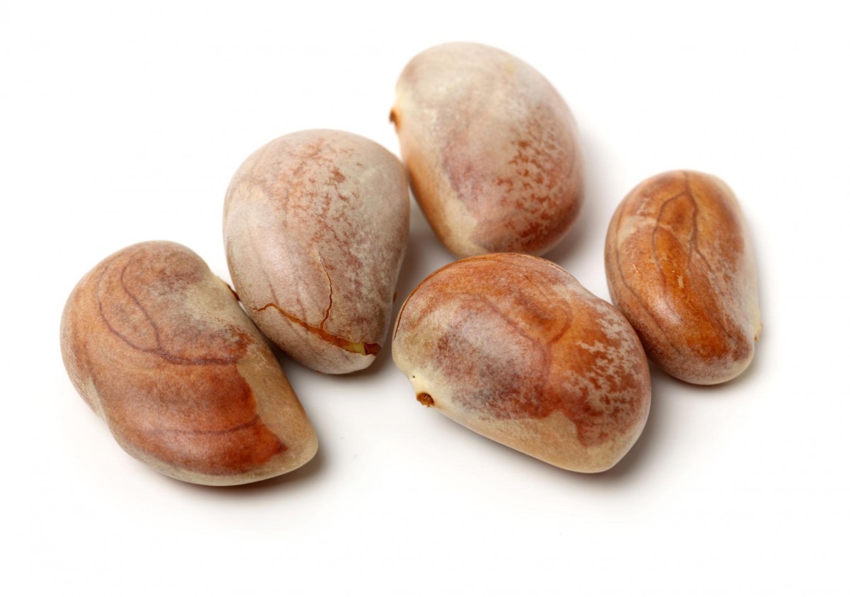 9 lợi ích sức khỏe hàng đầu của hạt mít không lên bỏ lỡ