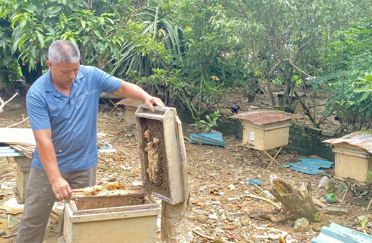 Chuyện người nông dân bền bỉ vượt khó “vun đắp” khát vọng làm giàu