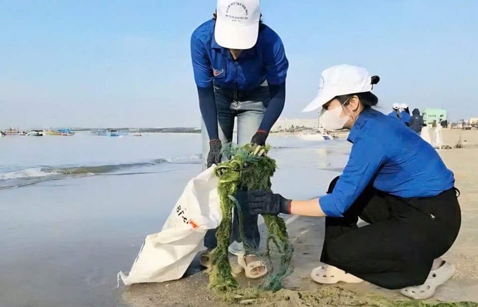 Gia Lai tăng cường bảo vệ môi trường, xử lý nghiêm các hành vi, vi phạm về môi trường