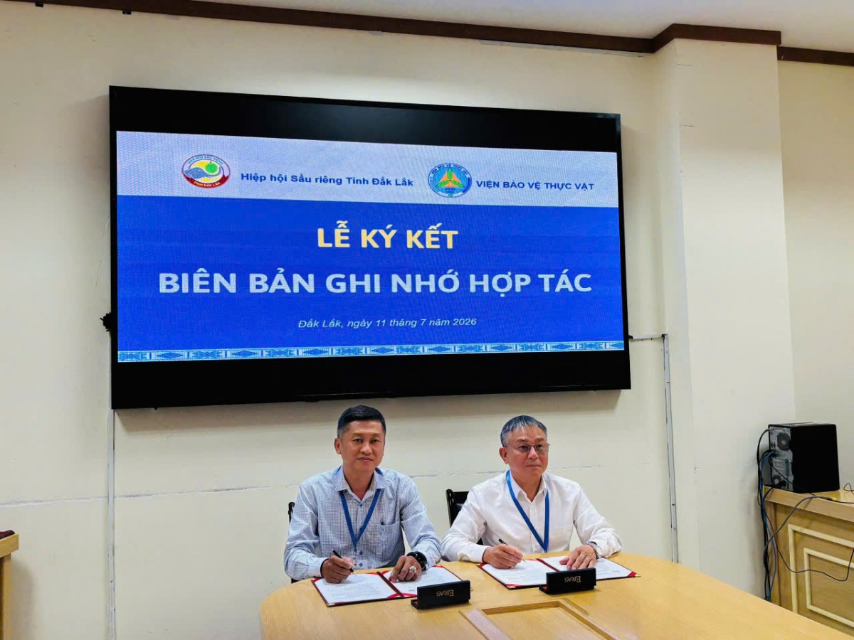 Đắk Lắk thúc đẩy nghiên cứu, chuyển giao công nghệ ngành sầu riêng phát triển bền vững