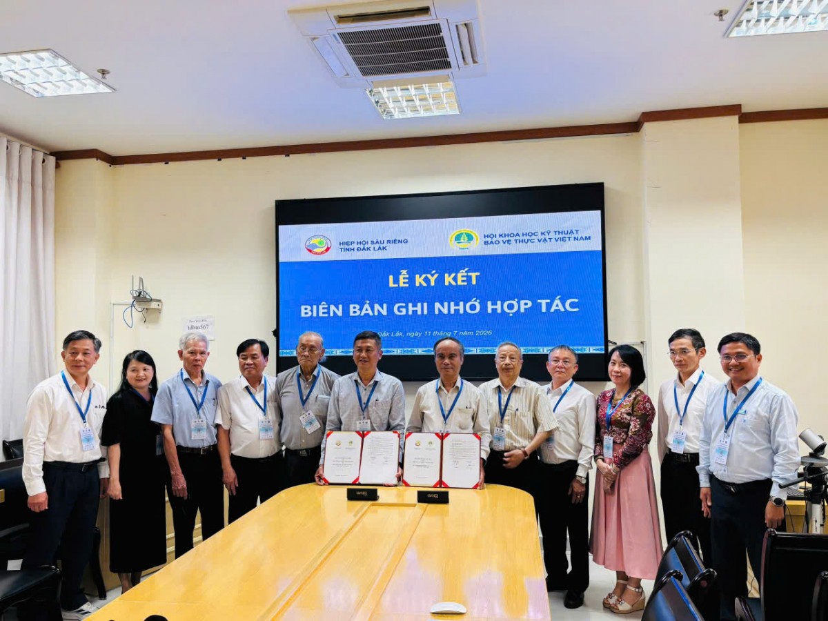 Đắk Lắk thúc đẩy nghiên cứu, chuyển giao công nghệ ngành sầu riêng phát triển bền vững