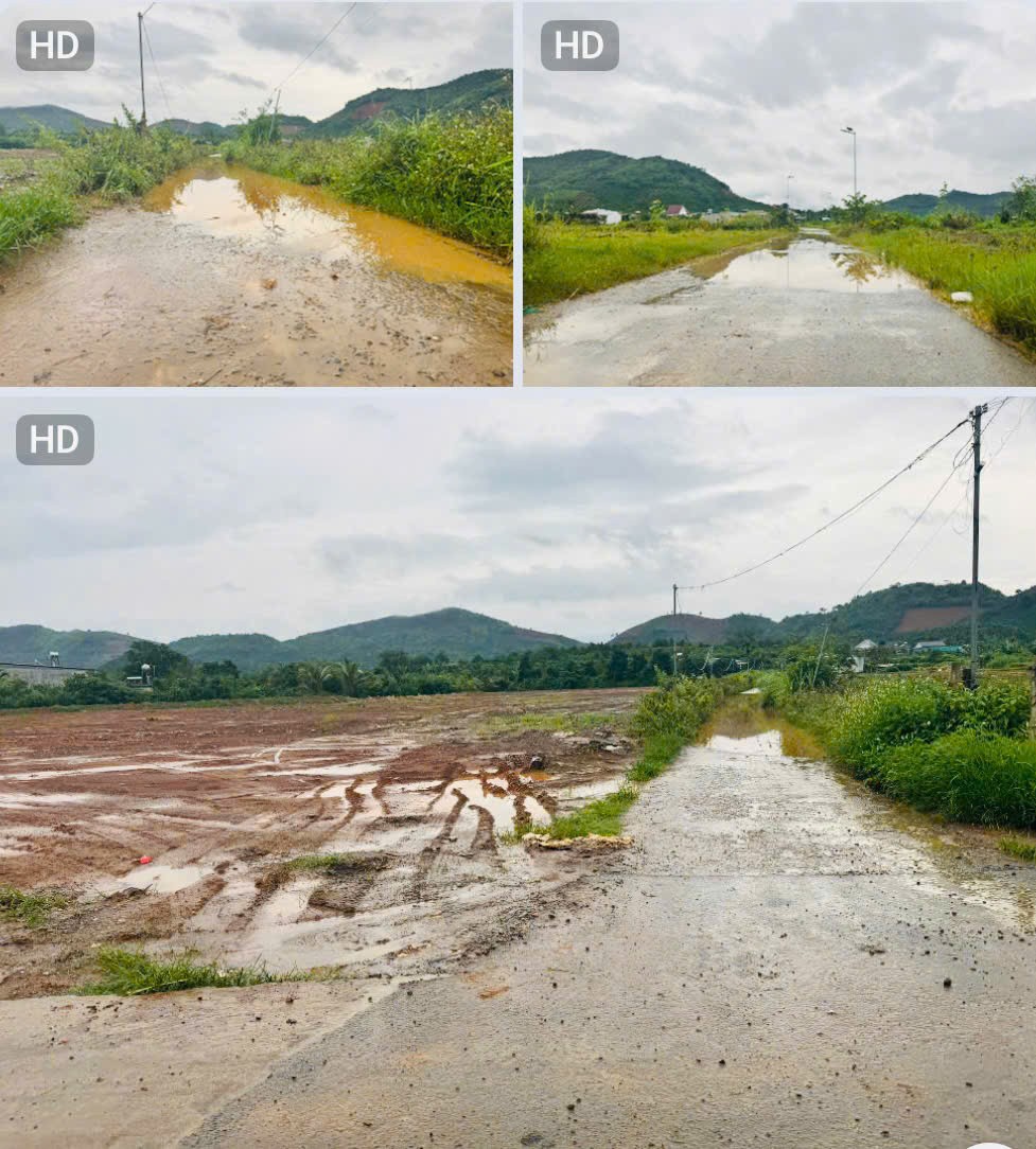 Lâm Đồng: Đất lúa bị san lấp, diện tích vi phạm trong hồ sơ xử lý có đúng với thực tế ?