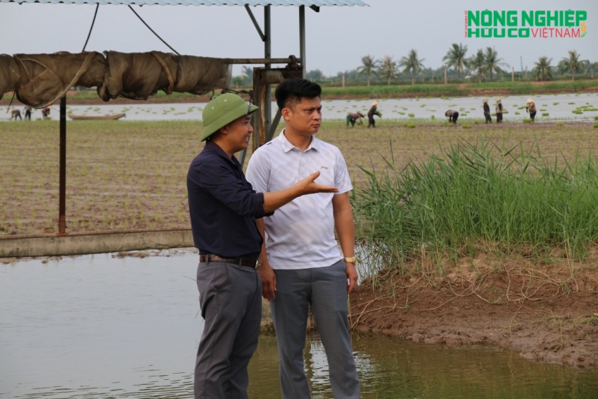 Gian nan hành trình tìm 