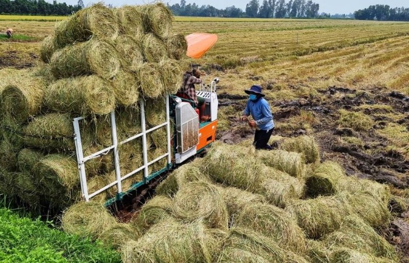 Từ nông nghiệp truyền thống sang nông nghiệp tuần hoàn: Thực trạng, thách thức và giải pháp