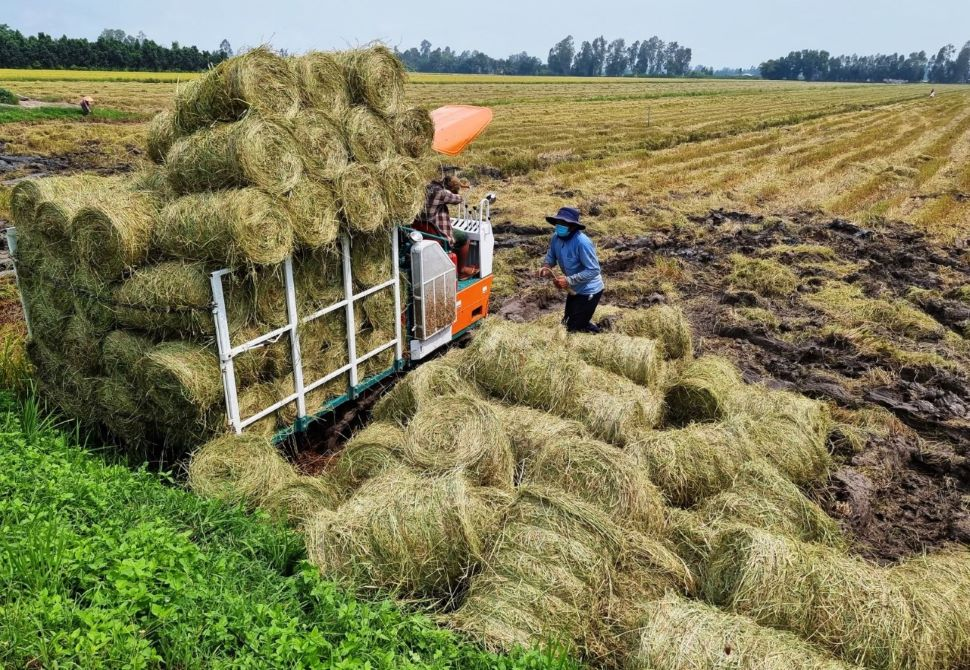 Từ nông nghiệp truyền thống sang nông nghiệp tuần hoàn: Thực trạng, thách thức và giải pháp