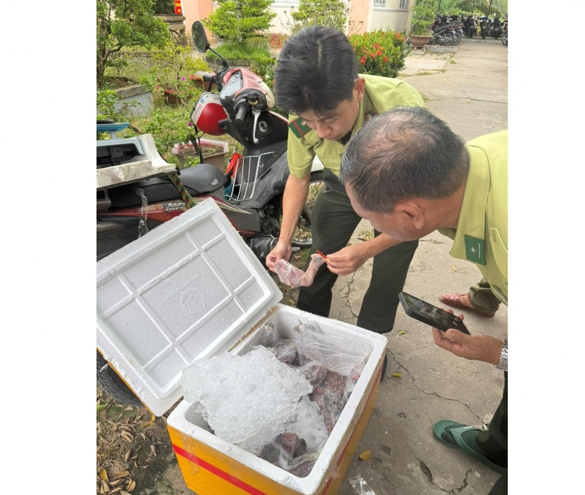 Đồng Tháp phát hiện đối tượng mua bán trái phép 56 cá thể chim hoang dã