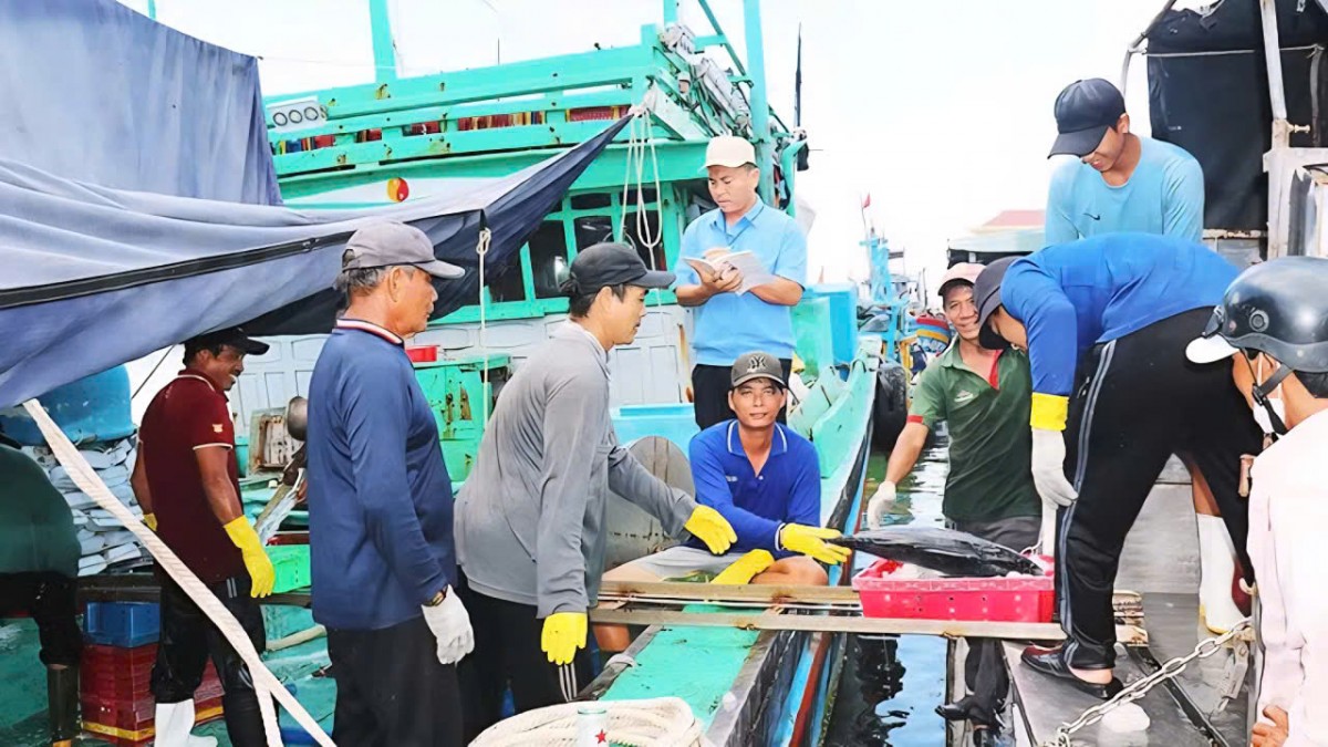 Gia Lai: Siết chặt quản lý những tàu cá không đủ điều kiện, quyết tâm gỡ “Thẻ vàng” IUU