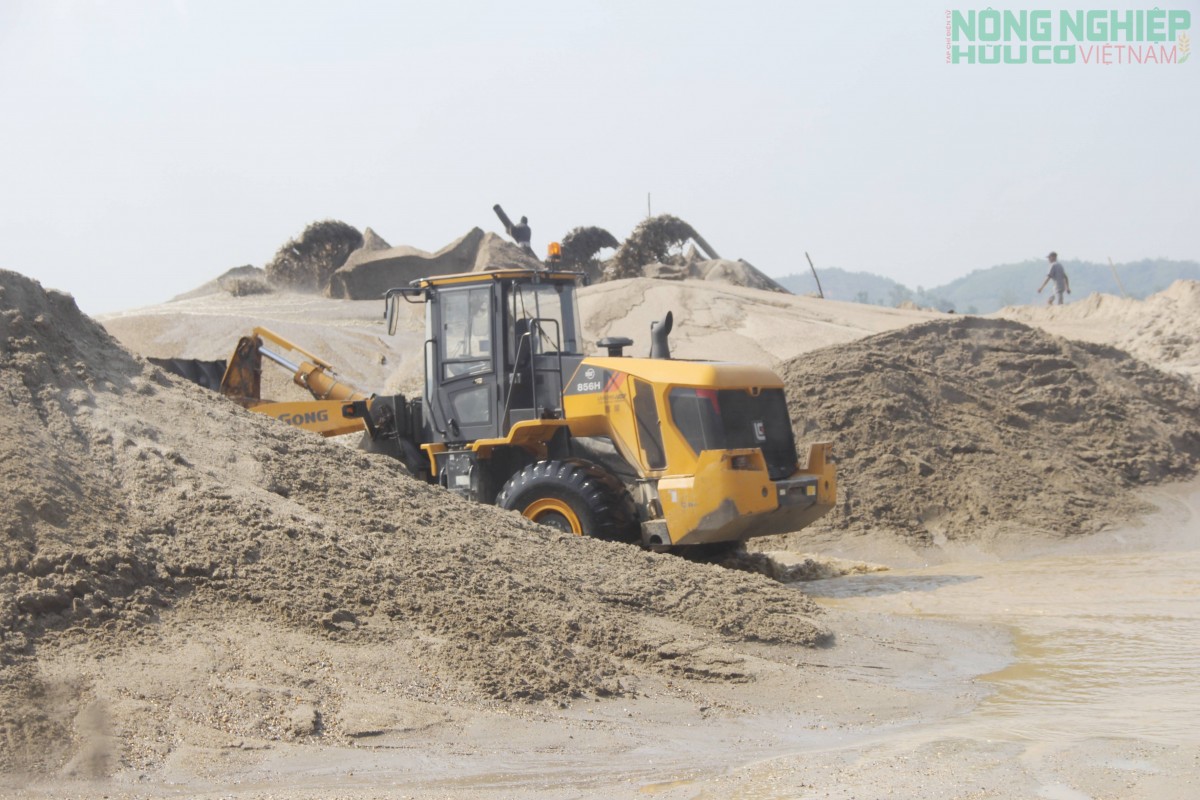 Giám đốc Sở NN&MT Nghệ An: “Bảo đảm nguồn nguyên liệu phục vụ các dự án, công trình trọng điểm”