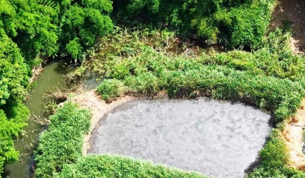 Trại chăn nuôi Long Nhân bị phạt 160 triệu đồng vì xả nước thải vượt quy chuẩn