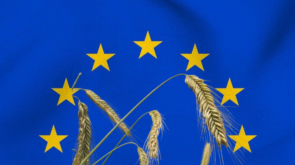 EU điều tra chống bán phá giá thịt vịt Trung Quốc