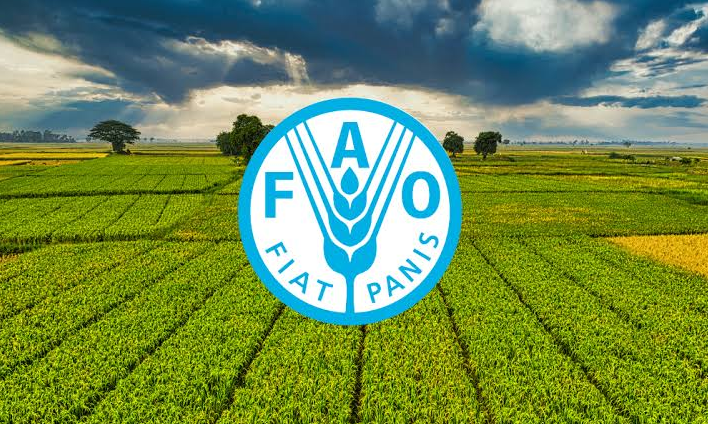 EU điều tra chống bán phá giá thịt vịt Trung Quốc