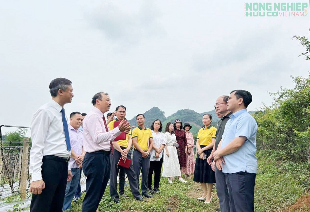 Nghệ An biểu dương điển hình nông dân sản xuất, kinh doanh giỏi, giai đoạn 2020 - 2025.