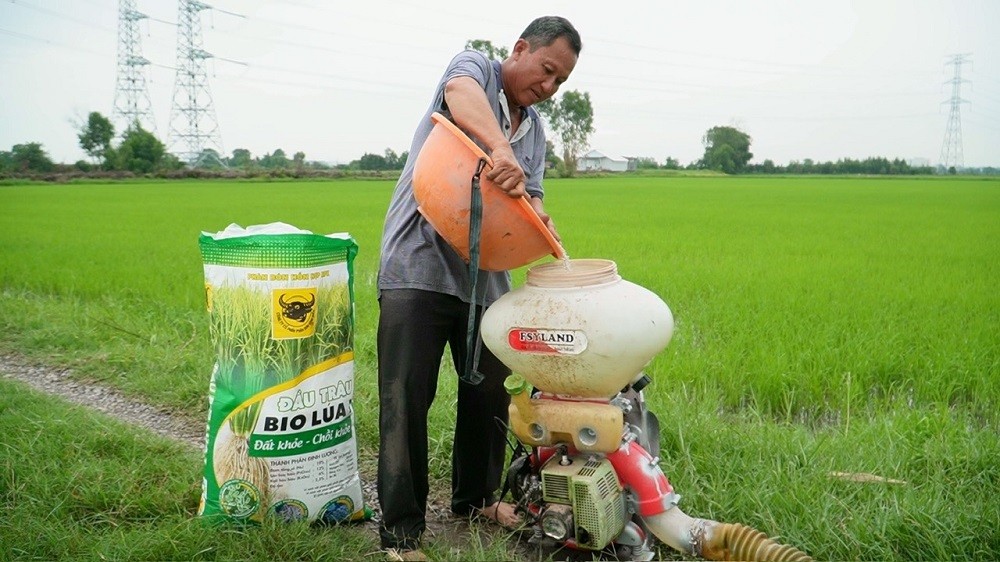 Cây lúa khỏe nhờ đất được 