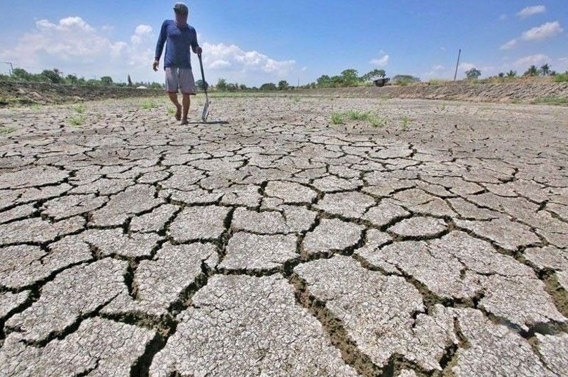 Siêu El Nino đe dọa sản lượng lúa Philippines, nguy cơ giảm tới 30%
