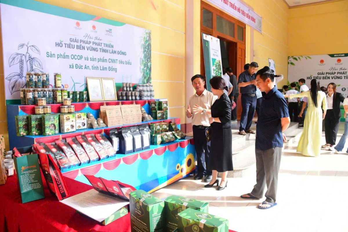 Tổ chức Hội thảo giải pháp phát triển hồ tiêu bền vững tỉnh Lâm Đồng