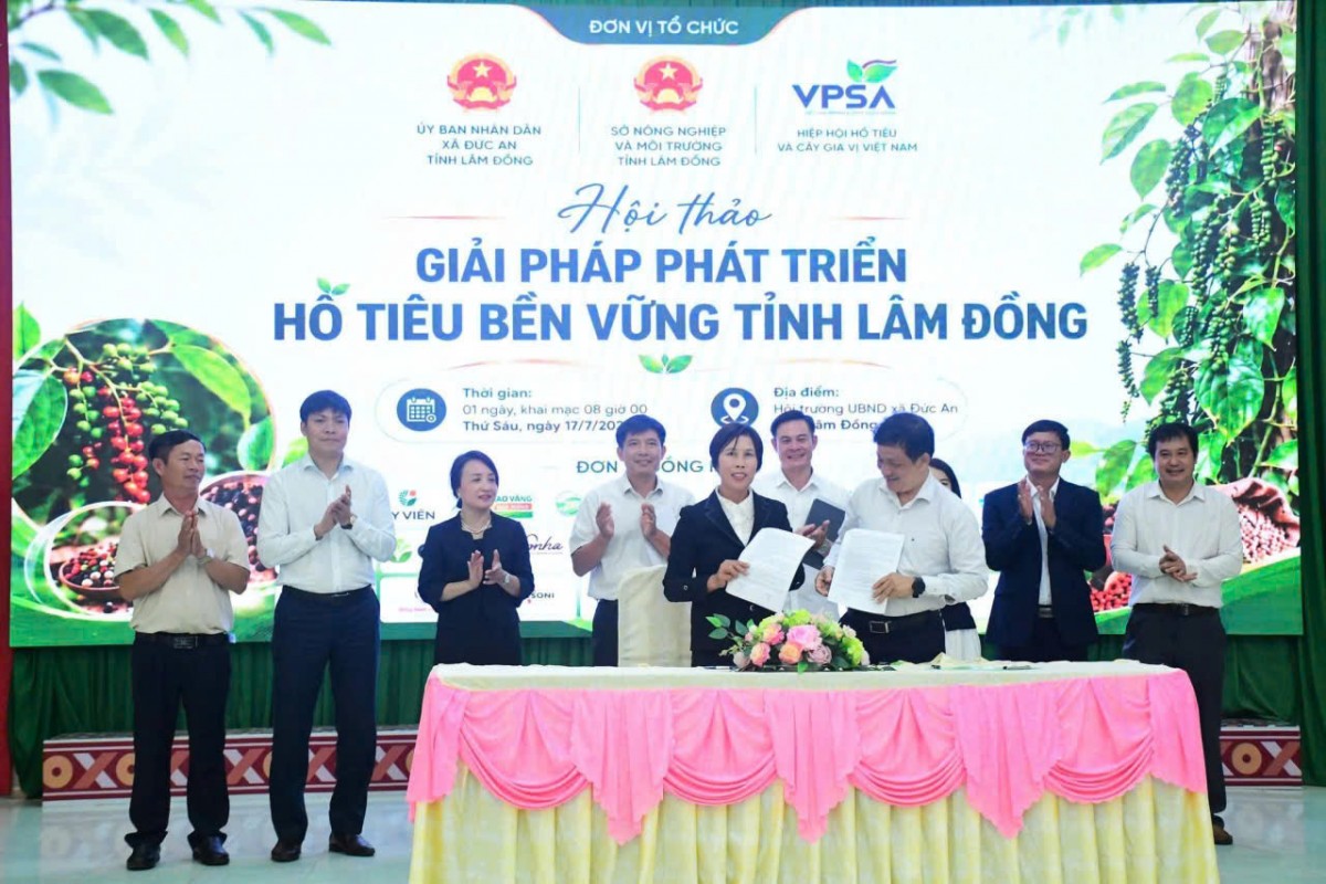 Tổ chức Hội thảo giải pháp phát triển hồ tiêu bền vững tỉnh Lâm Đồng Tổ chức Hội thảo giải pháp phát triển hồ tiêu bền vững tỉnh Lâm Đồng