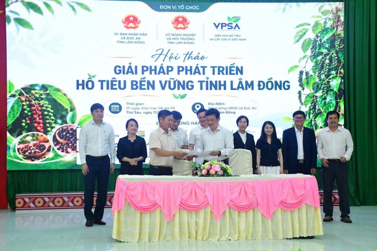 Tổ chức Hội thảo giải pháp phát triển hồ tiêu bền vững tỉnh Lâm Đồng